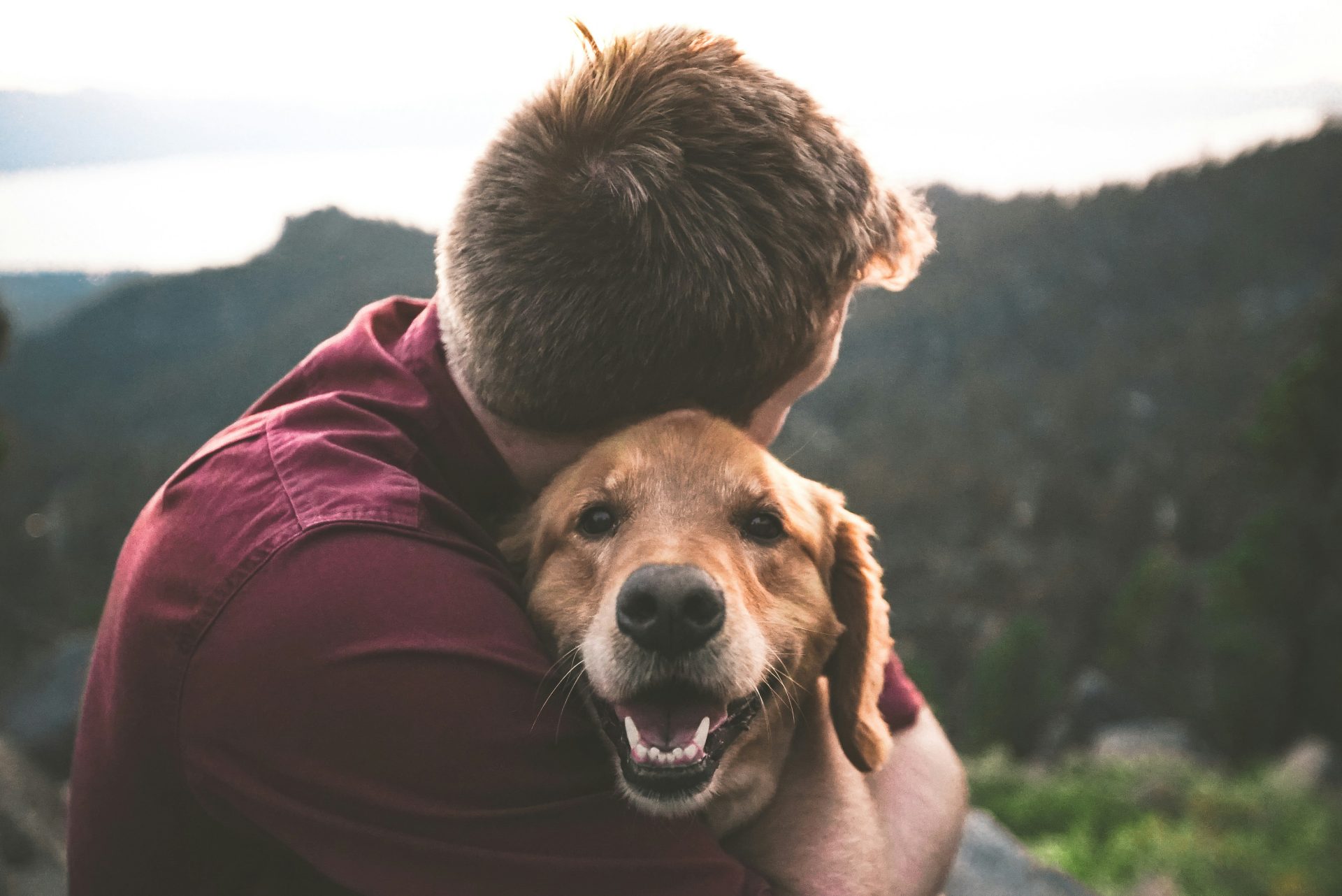 Man hugging his smiling dog on a mountain hike.