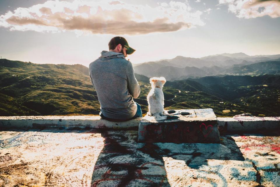 Man sitting with his dog, enjoying a scenic view